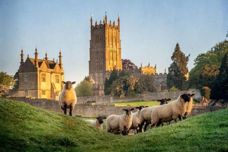 Cotswold Chic Retreats "Jacinabox" Central Chipping Campden-Parking-Garden Buitenkant foto